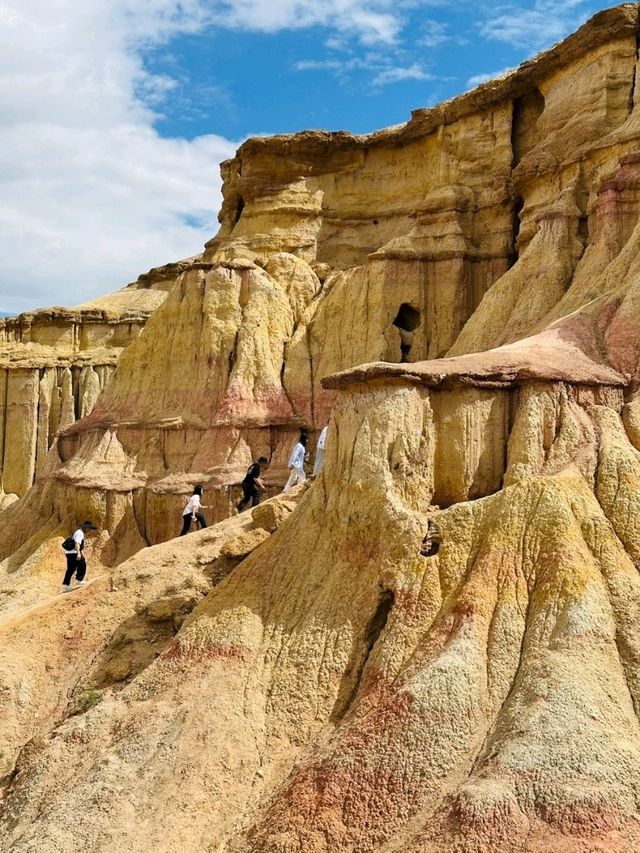 몽골여행 고비사막 투어