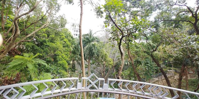Hong Kong Park 