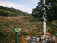 Muddy in the Heaphy Track