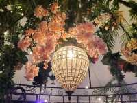 🌹Floriade Nightfest🌹