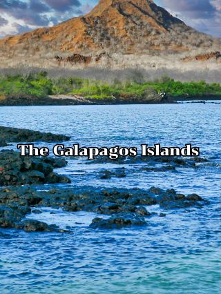 The Galápagos Islands 