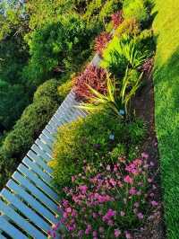 🌸 “Harry P. Leu Gardens – Orlando’s Blooming Paradise!”