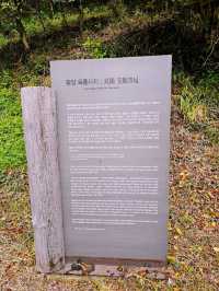 🌄 한국 풍수지리의 시초라는 옥룡사지