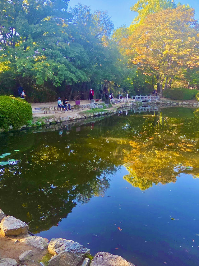 🍂 가을엔 불국사 산책 어때요? 🏯
