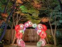 夜まで楽しめる🌃✨東京紅葉スポット