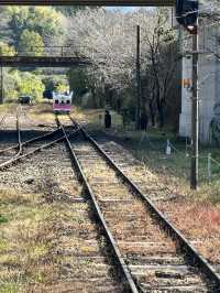 105mの鉄橋から見える壮大な景色 廃線を利用したトロッコ列車