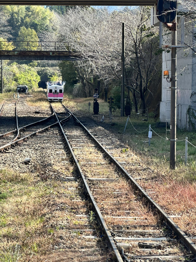 105mの鉄橋から見える壮大な景色 廃線を利用したトロッコ列車
