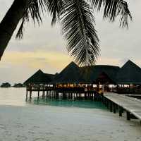 Barefoot Dreams, Ocean Deep
