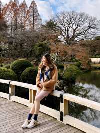 Strolling in Shinjuku Gyoen National Garden 🌿