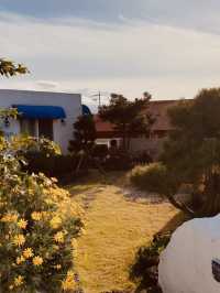 Excellent Value and Self-Catering Convenience
