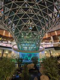 A Forest Between Flights: My Walk Through the Orchard at Hamad Airport