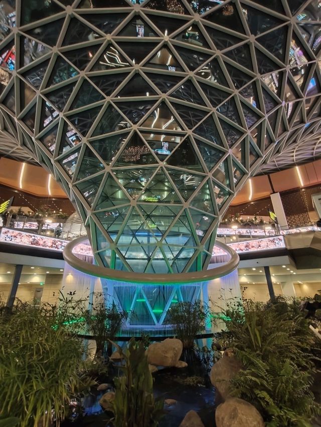 A Forest Between Flights: My Walk Through the Orchard at Hamad Airport
