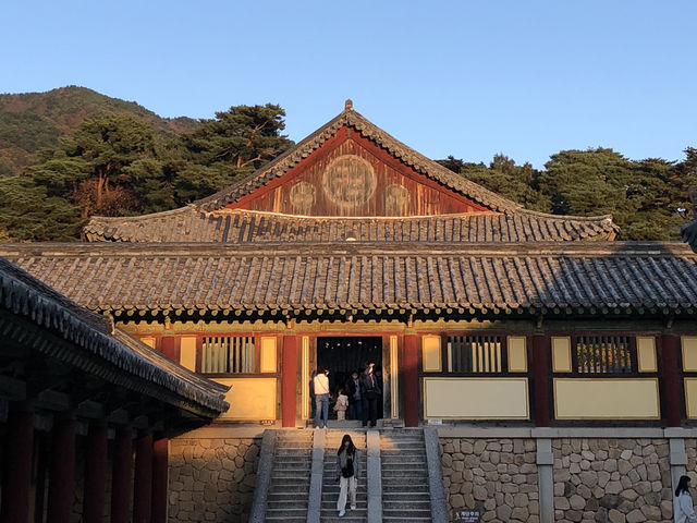 🛕 천년의 시간이 머문 곳, 경주 불국사
