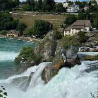 Roaring Beauty of Rhine Falls 