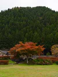第５代当主朝倉義景が住んだ館の跡