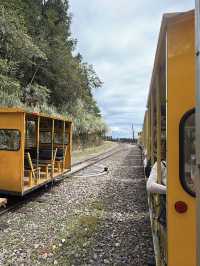 太平山蹦蹦車與古道探秘