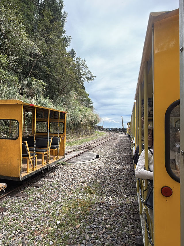 太平山蹦蹦車與古道探秘 太平山蹦蹦車與古道探秘