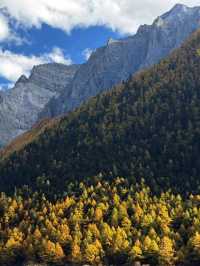 nature reserve