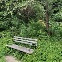 Washington Park Arboretum