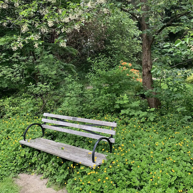 Washington Park Arboretum Washington Park Arboretum