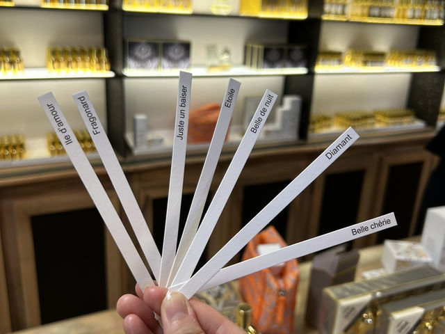 ニースからバスで30分！エズ村魅力ご紹介🦅⛰️🌹