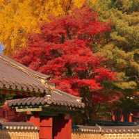 🏛️ Jongmyo Shrine – Seoul’s Timeless Confucian Heritage