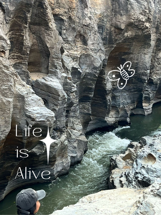 ให้ออบขาน โอบกอดเรา⛰️🍃✨ ให้ออบขาน โอบกอดเรา⛰️🍃✨