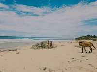 Sunny Shores Await🌞 coxs Bazar ⛵