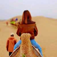 ขี่อูฐในทะเลทรายร้องเพลง