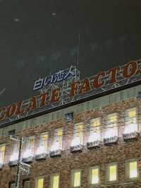 【北海道｜札幌近郊冬季限定】湯咖哩暖胃→雪中頭大佛＋復活島摩艾→白之戀人公園夜燈全亮，完美一天