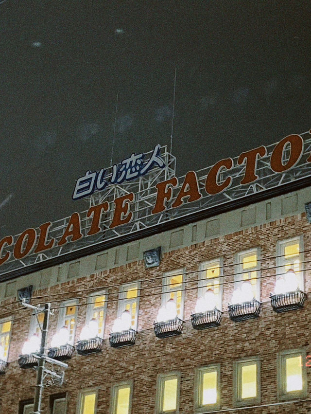 【北海道｜札幌近郊冬季限定】湯咖哩暖胃→雪中頭大佛＋復活島摩艾→白之戀人公園夜燈全亮，完美一天