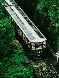 🌄🚋 Riding to the Clouds on The Peak Tram, Hong Kong 🌆✨ 