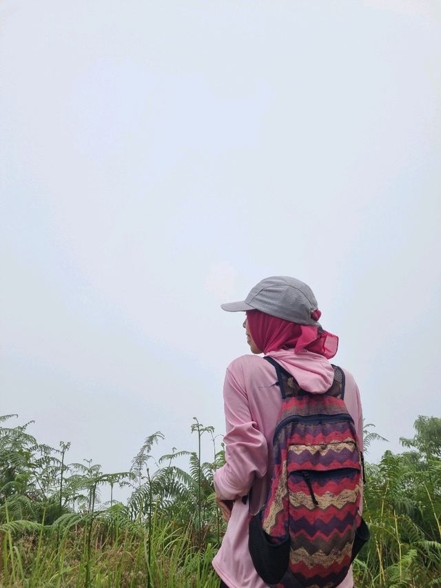 Vibrant Day Out🌸 Vibrant Day Out🌸