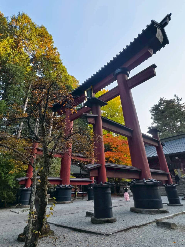 《巨杉守護的靜謐時光•北口本宮富士淺間神社》