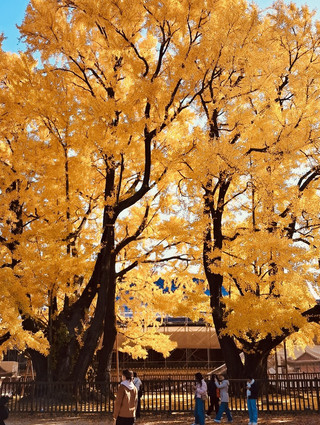 Myeongnyundang (명륜당) – Symbol of Enduring Tradition