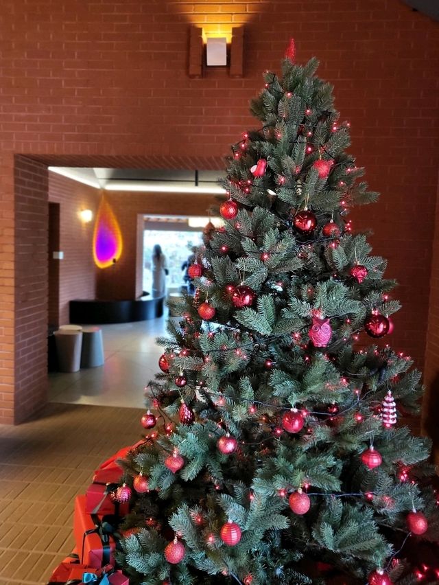 한옥마을과 힙한 mz감성이 함께하는 경주데이트코스