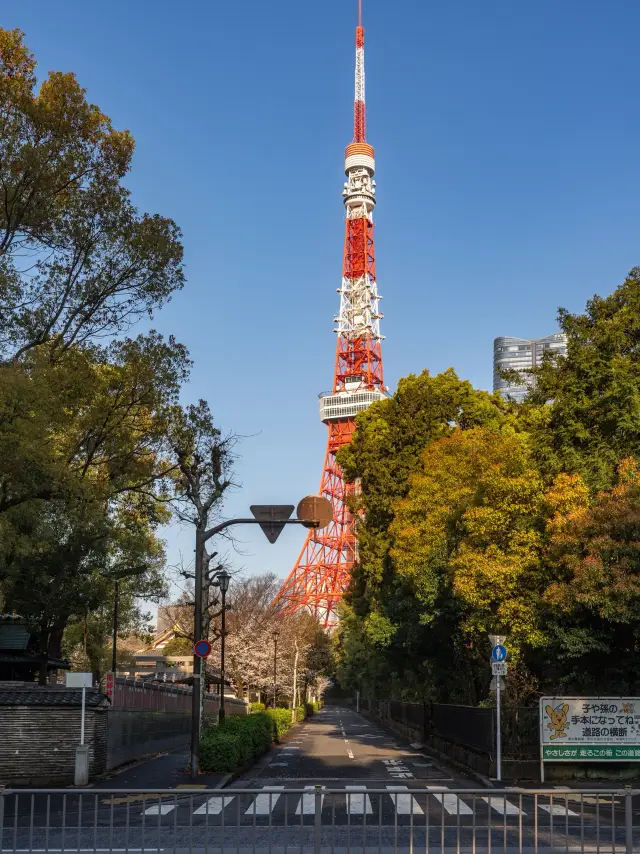 東京4日5夜旅行行程推薦