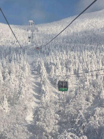 Yamagata Zao Ice Trees Travel Guide | Trip.com Zao
