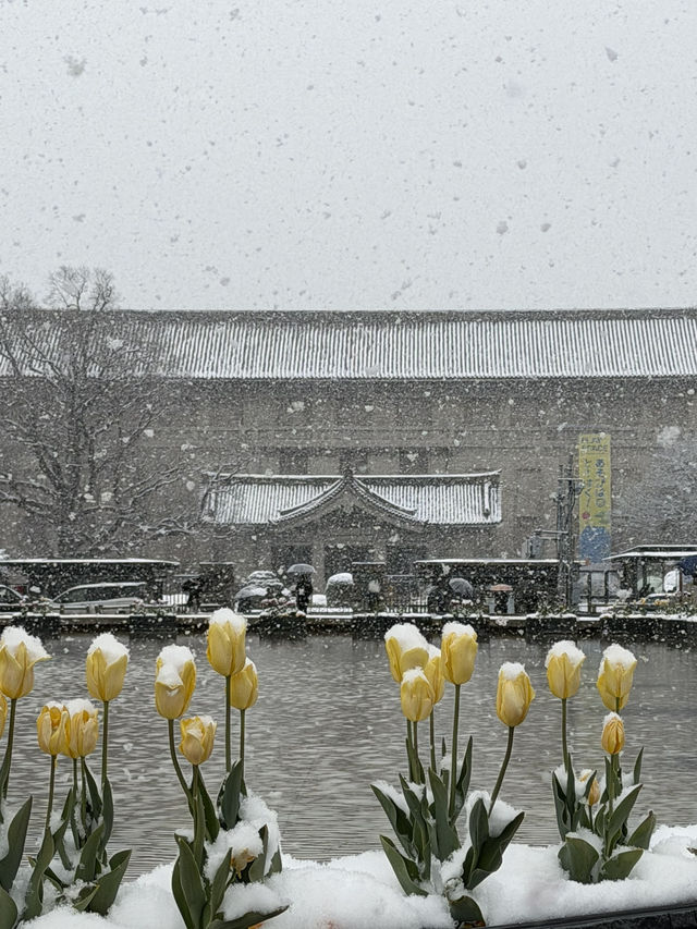 Winter Wonderland at Tokyo National Museum ❄️🗾