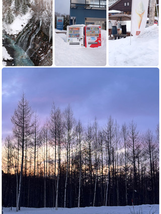 ❄️ 홋카이도 여행 — 천천히 스며드는 하루의 기록