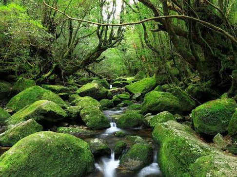11位 琉球王国のグスク及び関連遺産群|沖縄独自の歴史と文化を感じられる