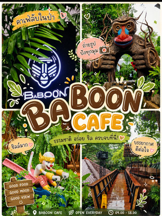 BABOON 