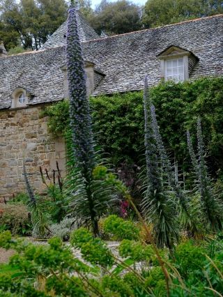 Château de Cordès Garden — Where Blue Thistles Quietly Command the Landscape