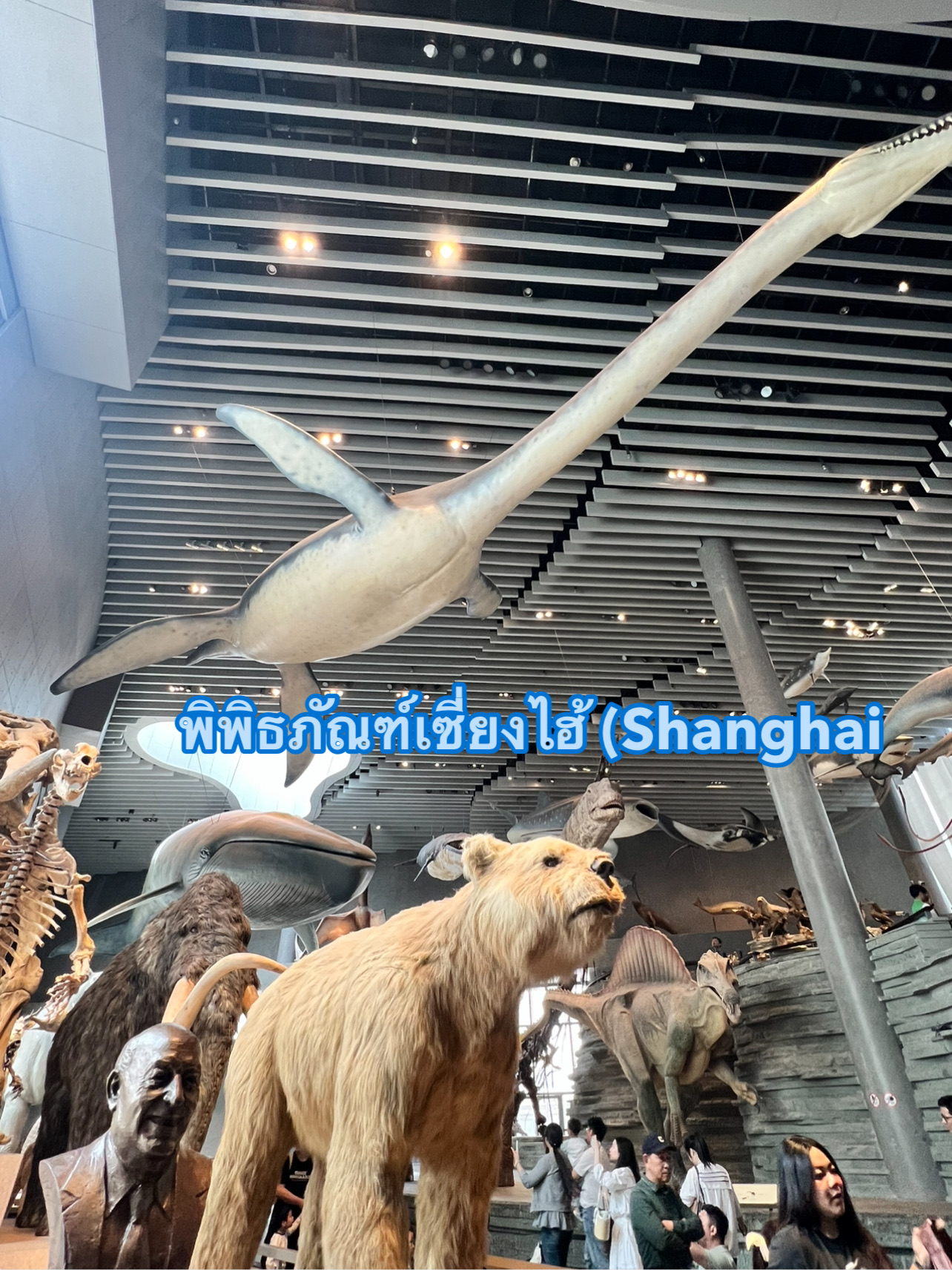 上海博物館（Shanghai Museum）。 | Trip.com