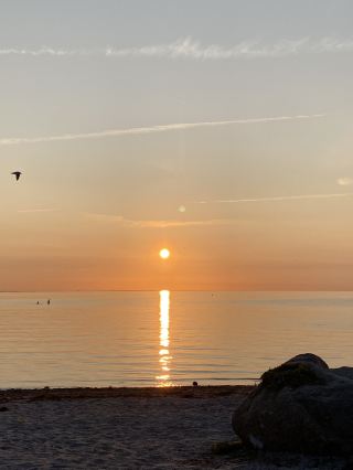 Malmo: Sunsets, Beaches & August Festival Vibes 🌅🎉