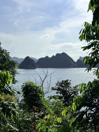 Is Ti Top Island Overrated? Here’s My Honest Experience