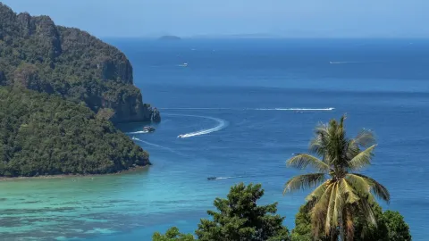 I thought Phuket was beautiful enough! Until I came here🌹 — traveler post in Phi Phi Islands