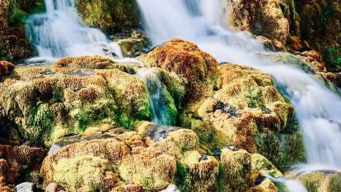 キプロス・トロードス山脈の秘境:苔むすカレドニアの滝とシダーバレーを巡る旅 🌲💧 — traveler post in ラルナカ