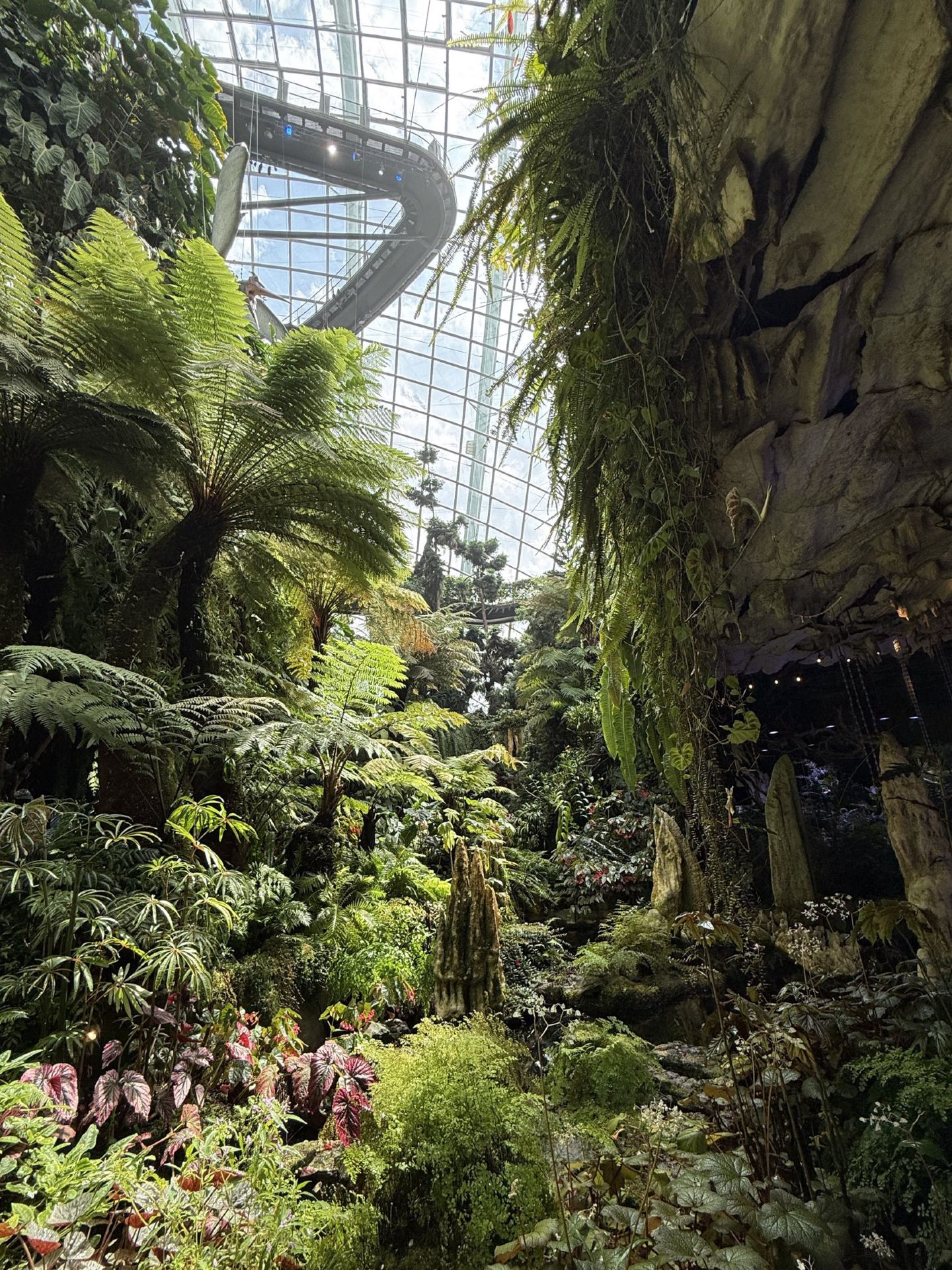 A Hidden World of Rare Begonias at The Secret Garden