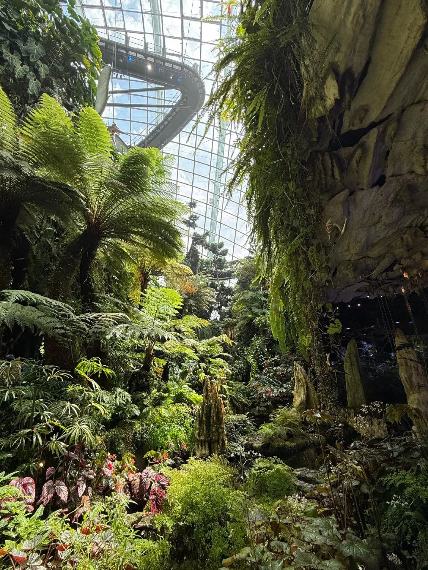 A Hidden World of Rare Begonias at The Secret Garden